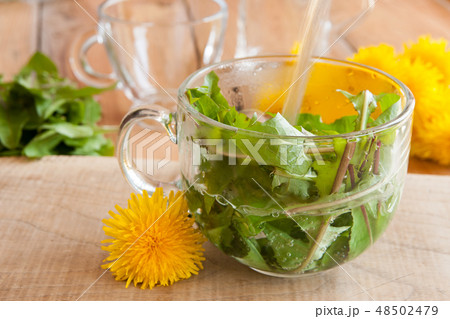 Preparing dandelion tea by pouring hot water 48502479