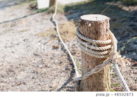 white rope tied to the stump to block the boundary 48502873