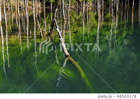 一ノ俣公園 48503378