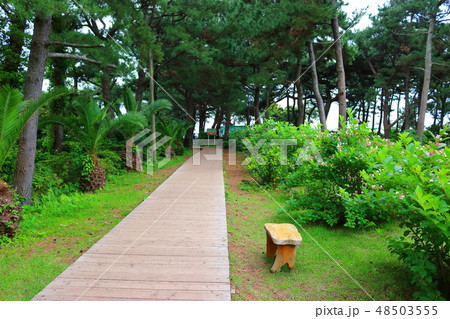 風景 観光 風 48503555