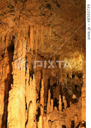 玉泉洞７ 48503739