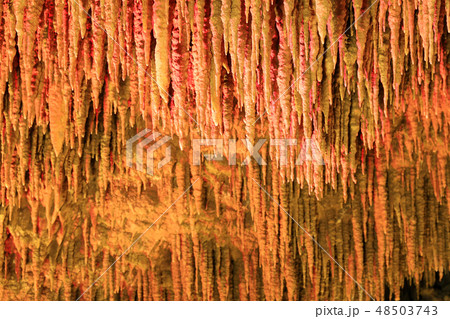 玉泉洞１１ 48503743