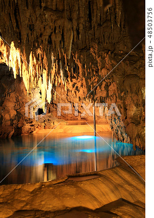 玉泉洞２４ 48503756