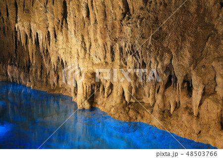 玉泉洞３３ 48503766