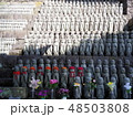 長谷寺の地蔵群 48503808
