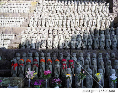長谷寺の地蔵群 48503808