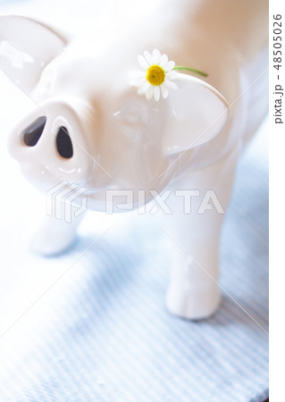 ぶたの置物 48505026