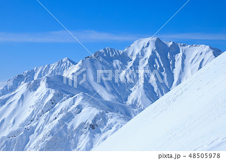 厳冬の北アルプス 五竜岳 厳冬の北アルプス 五竜岳 48505978