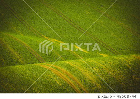 On green waves On green waves 48508744