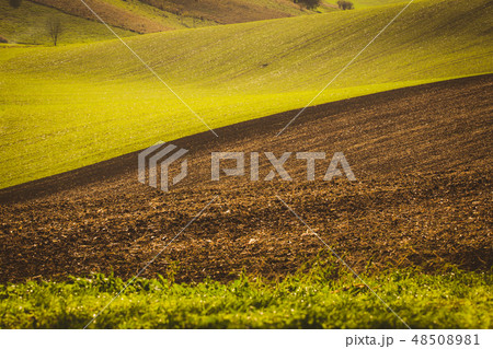 Autumn wavy fields 48508981