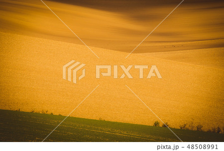Autumn wavy fields 48508991