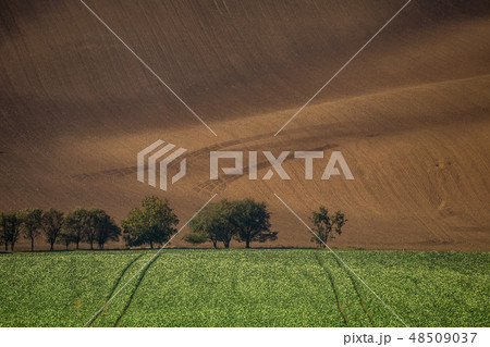 Wavy autumn fields in Moravian Tuscany Wavy autumn fields in Moravian Tuscany 48509037