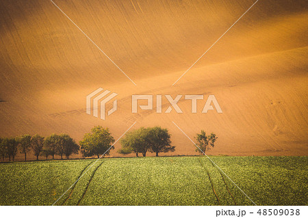 Wavy  autumn fields in Moravian Tuscany 48509038