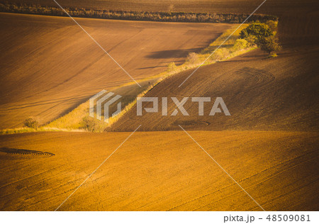 Wavy  autumn fields in Moravian Tuscany 48509081