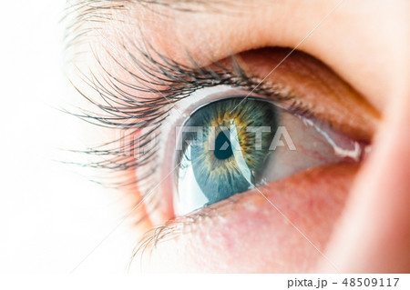 Human Eye Macro View 48509117