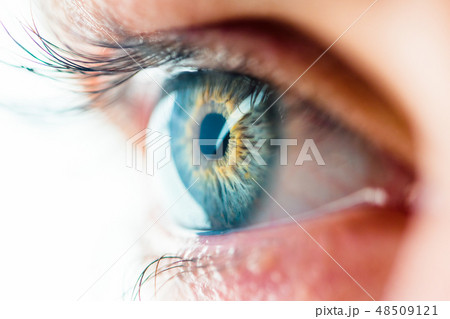 Human Eye Macro View Human Eye Macro View 48509121