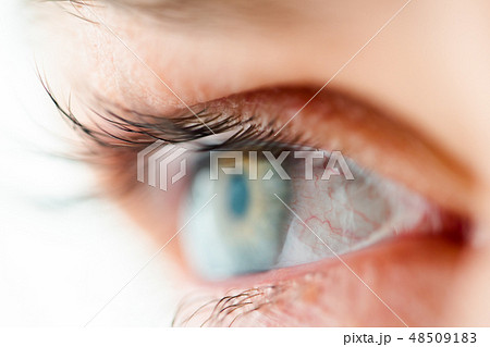 Human Eye Macro View 48509183