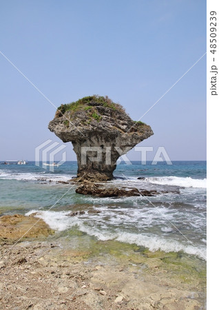 花瓶岩 花瓶岩 48509239