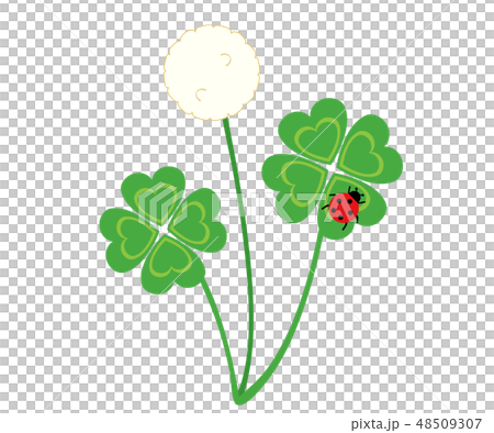 幸運草12 48509307