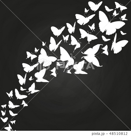 White butterflies silhouettes on chalkboard 48510812