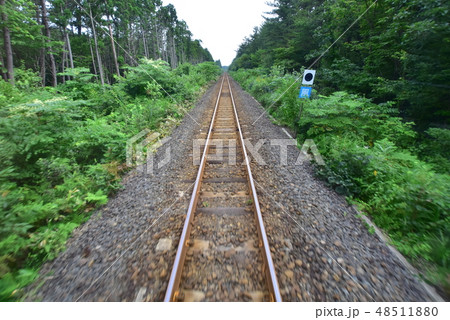 大湊線の景色 48511880
