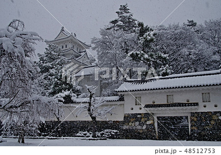 雪の大垣城 48512753