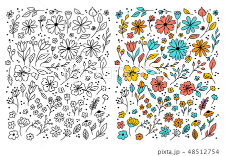 Doodle flowers Hand drawn floral set. Flowers cartoon drawing, coloring floral. Vector Doodle flowers Hand drawn floral set. Flowers cartoon drawing, coloring floral. Vector 48512754