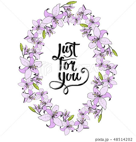 Vector Lily floral botanical flower. Wild spring leaf wildflower. Engraved ink art. Frame border Vector Lily floral botanical flower. Wild spring leaf wildflower. Engraved ink art. Frame border 48514202