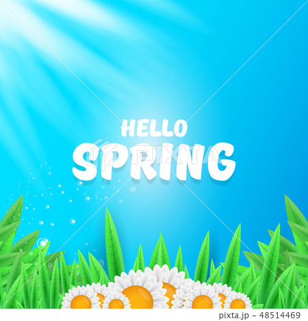 vector hello spring banner with green grass, sky and flowers. hello spring flyer, banner or 48514469