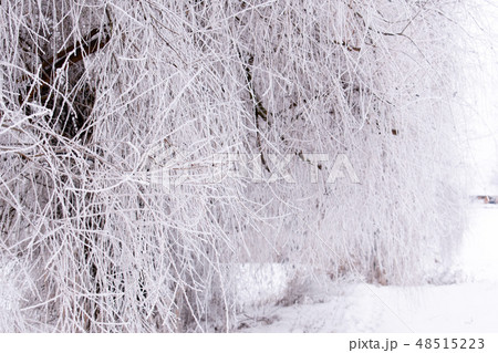 Winter weather. White snow covered the ground. Winter weather. White snow covered the ground. 48515223