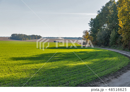 harvesting on the field harvesting on the field 48516625