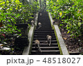 Monkeys walking up the stone stairs in the forest. 48518027