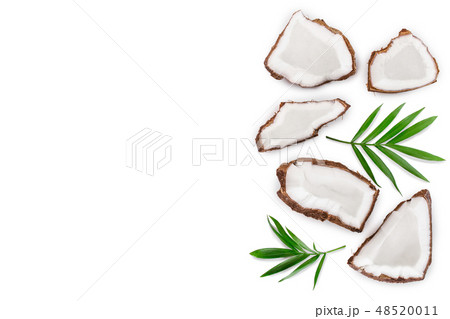 piece of coconut with leaves isolated on white background with copy space for your text. Top view 48520011
