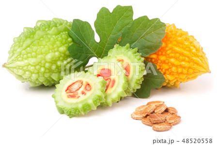green and yellow momordica or karela isolated on white background 48520558