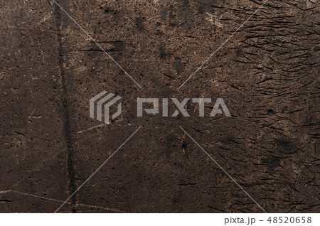 Surface of grey wooden table cut 48520658