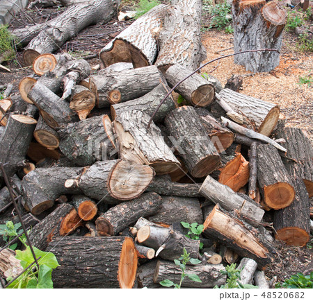 pile of firewood close-up on a cloudy day 48520682