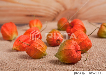 ripe physalis scattered on burlap the table ripe physalis scattered on burlap the table 48521112