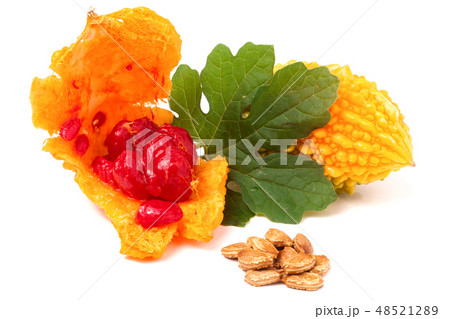 yellow disclosed momordica with leaf and seeds isolated on white background 48521289