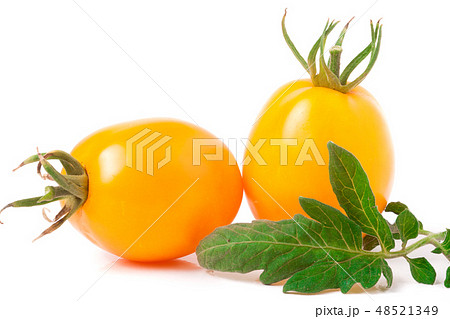 two yellow tomato with leaf isolated on white background 48521349