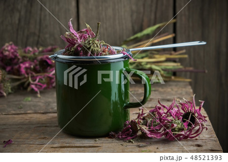 Enameled cup of healthy echinacea tea. 48521393