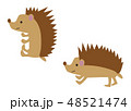 ハリネズミのイラスト 48521474