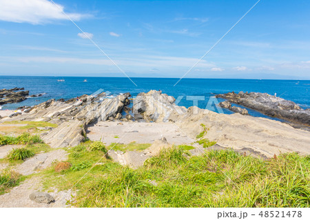 三浦半島・城ヶ島の海 48521478