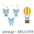 ネズミのイラスト 48521559