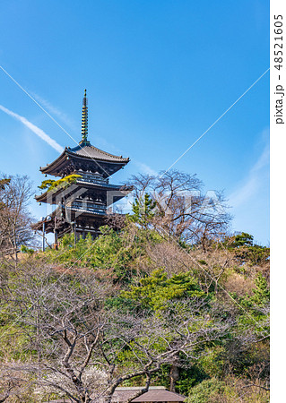 旧燈明寺三重塔(横浜市中区、三渓園) 旧燈明寺三重塔(横浜市中区、三渓園) 48521605