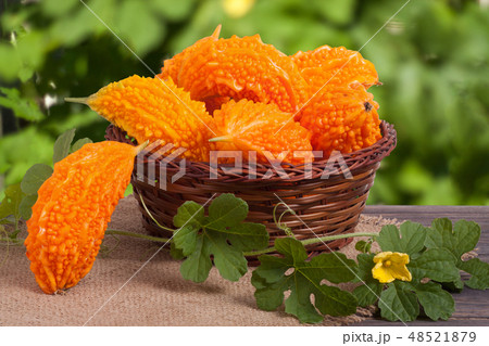 bitter melon or momordica in a wicker basket on wooden table with blurred background bitter melon or momordica in a wicker basket on wooden table with blurred background 48521879