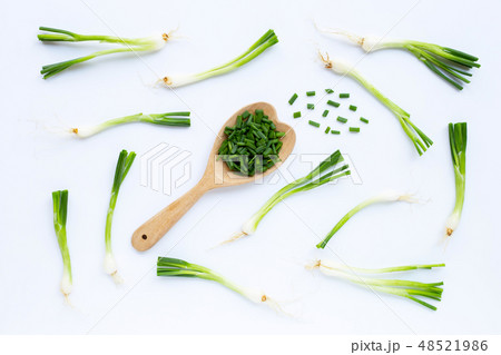Green onions isolated on white 48521986