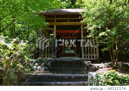 蓬莱山へ行きました　　＃3 48522174