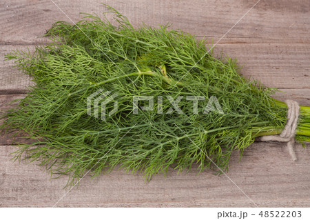 bunch of dill on wooden background 48522203