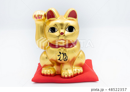 金の招き猫 金の招き猫 48522357