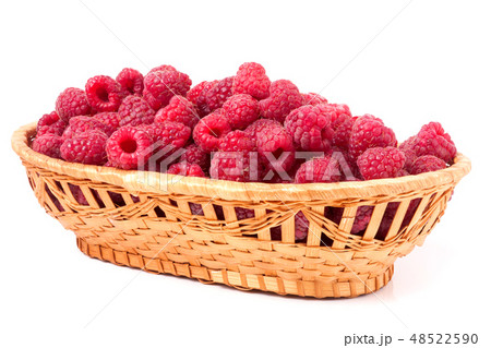 red raspberries in a wicker basket isolated red raspberries in a wicker basket isolated 48522590